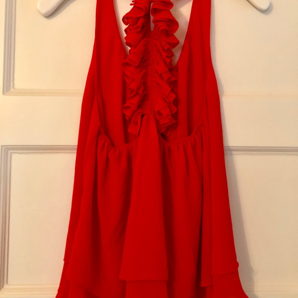 Red Ruffle Tank (From The Impeccable Pig)